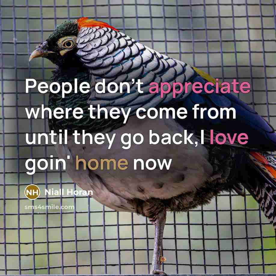 “People don't appreciate where they come from until they go back,I love goin' home now” quote by Niall Horan