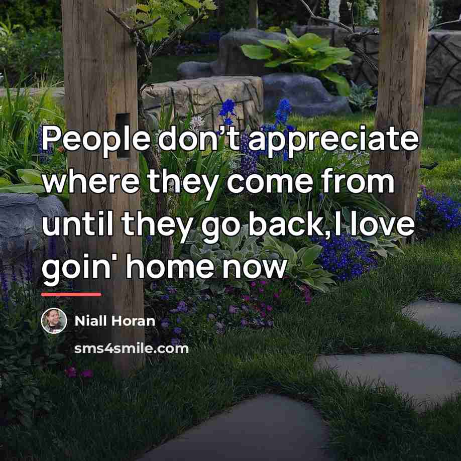 “People don't appreciate where they come from until they go…” quote by Niall Horan