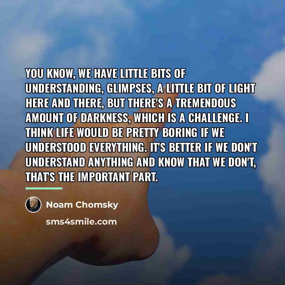 “You know, we have little bits of understanding, glimpses, a…” quote by Noam Chomsky