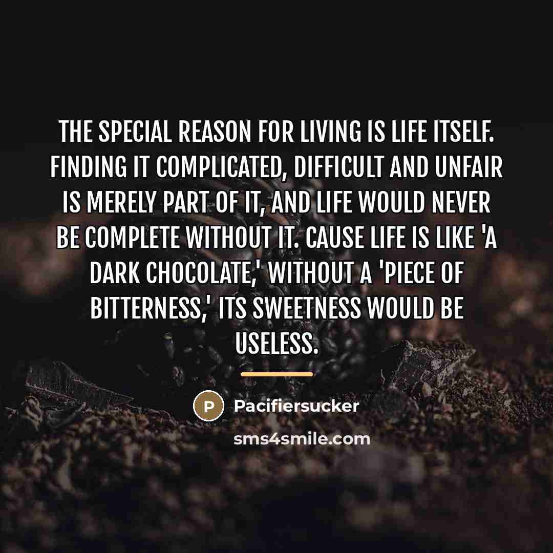 “The special reason for living is life itself. Finding it…” quote by Pacifiersucker