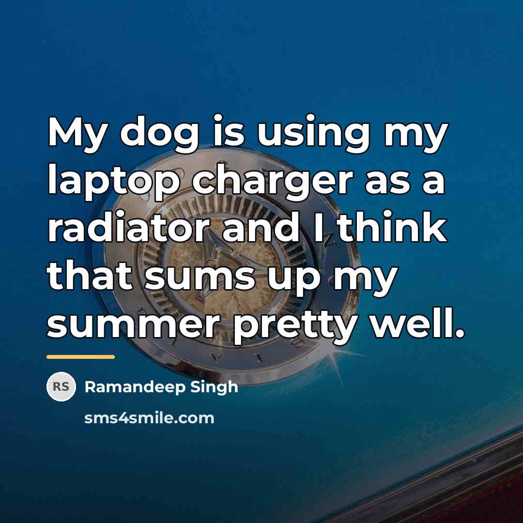 “My dog is using my laptop charger as a radiator…” quote by Ramandeep Singh