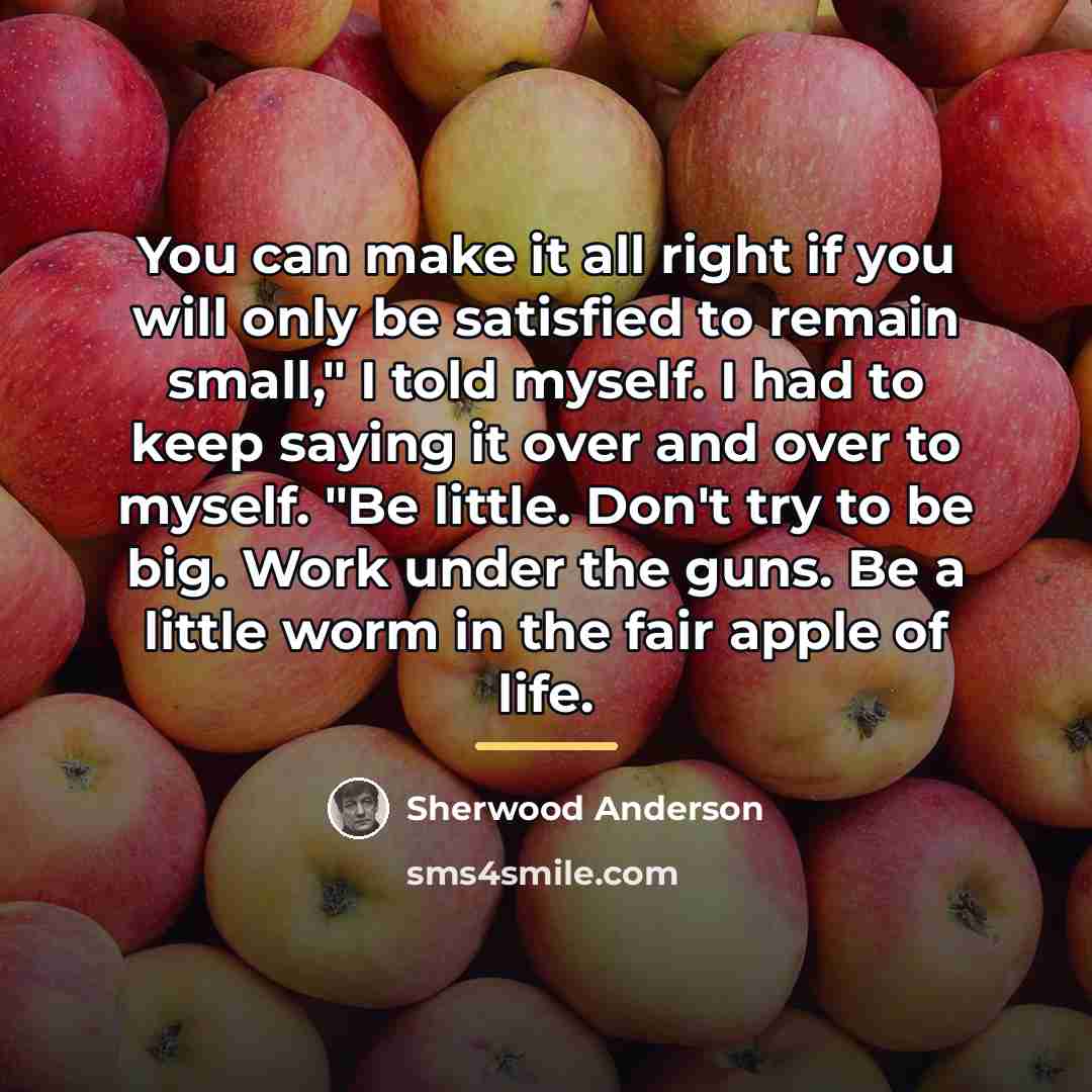 “You can make it all right if you will only…” quote by Sherwood Anderson