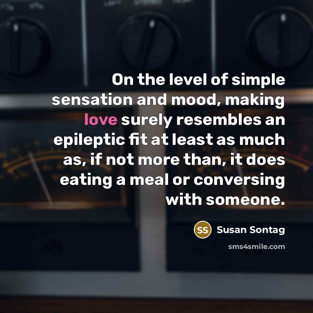 “On the level of simple sensation and mood, making love…” quote by Susan Sontag
