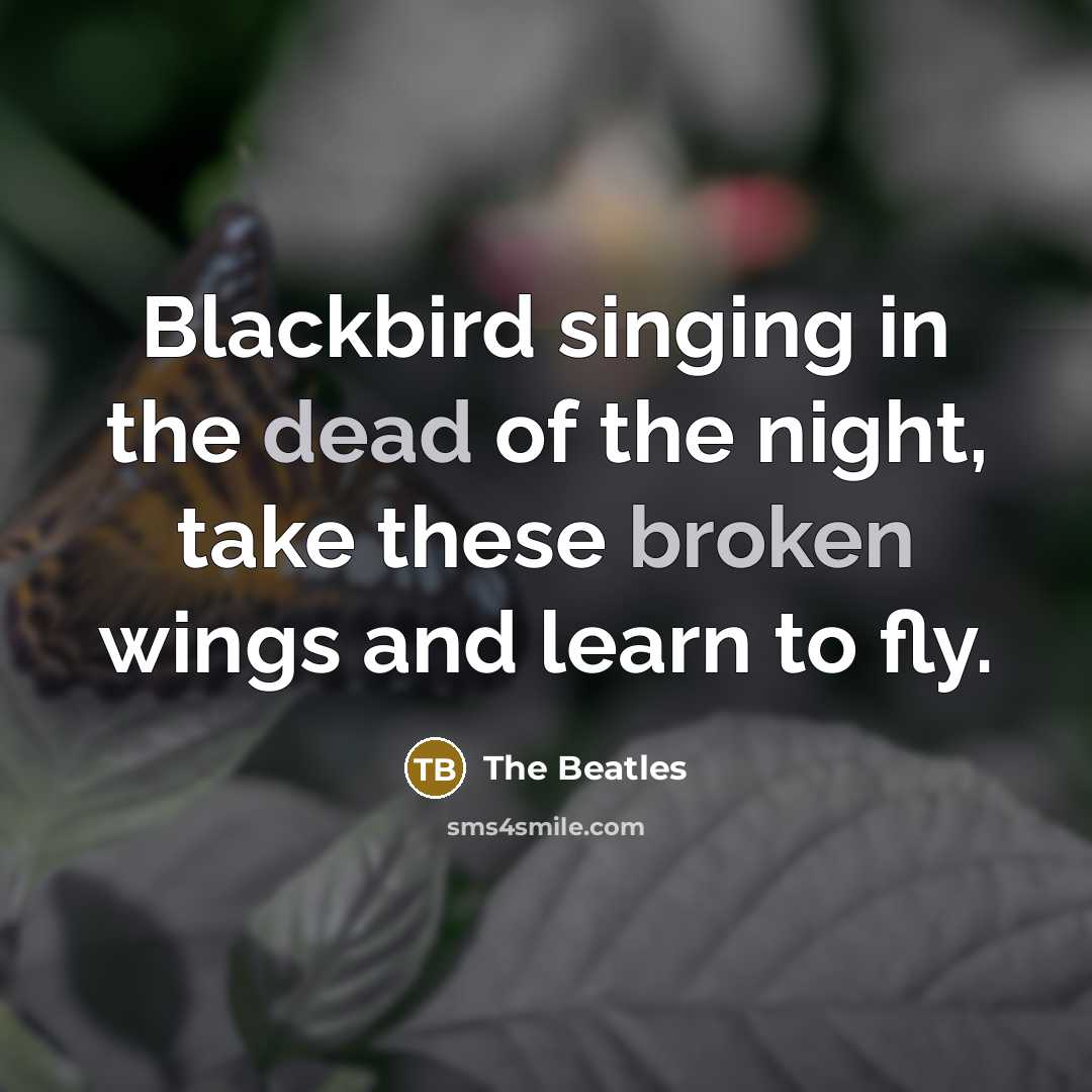 “Blackbird singing in the dead of the night, take these…” quote by The Beatles