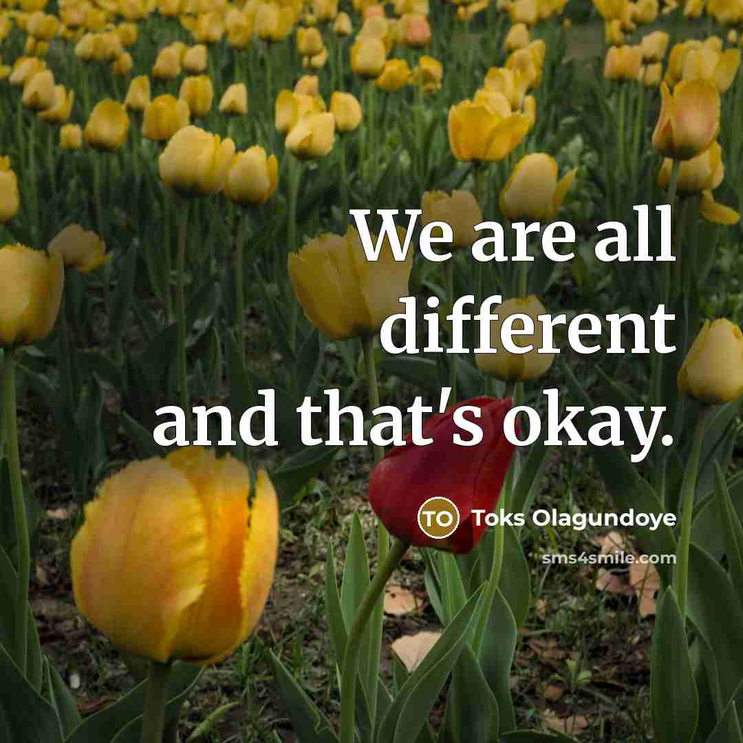 “We are all different and that's okay.…” quote by Toks Olagundoye