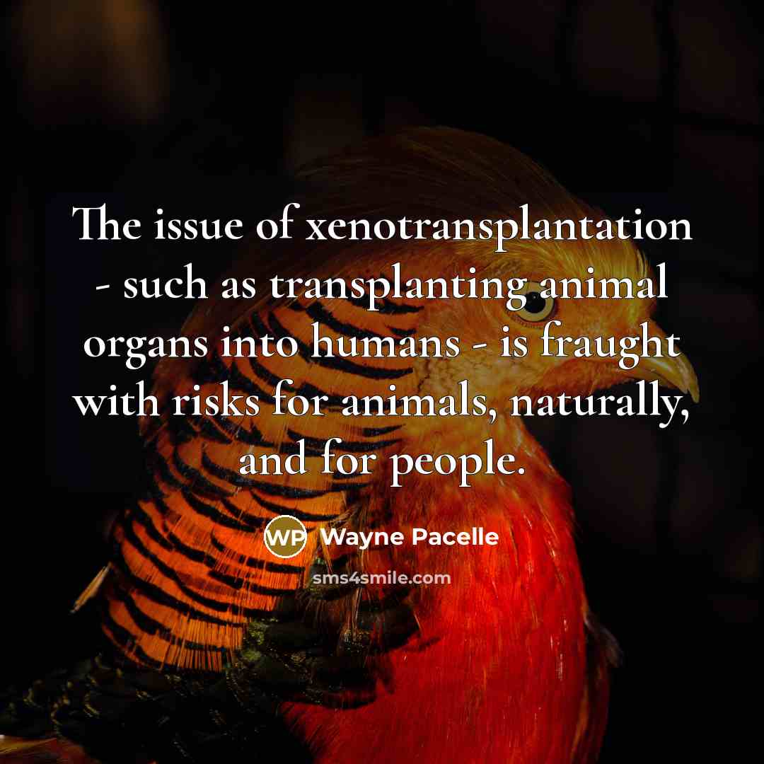 “The issue of xenotransplantation - such as transplanting animal organs…” quote by Wayne Pacelle