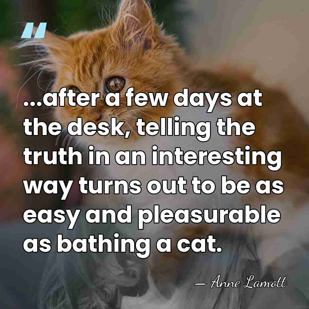 ...after a few days at the desk, telling the truth in an&hellip; - Anne Lamott
