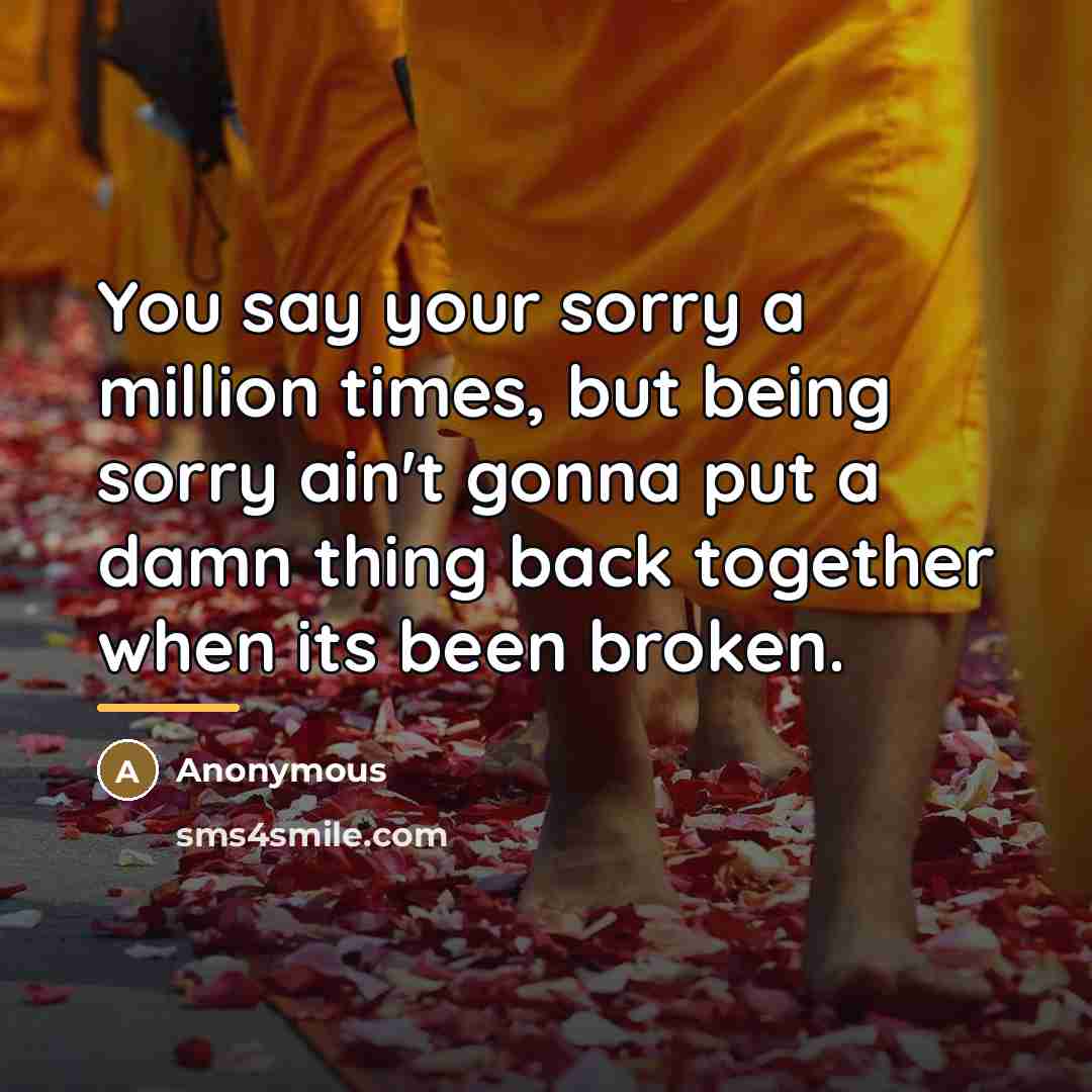 “You say your sorry a million times, but being sorry…” quote by Anonymous