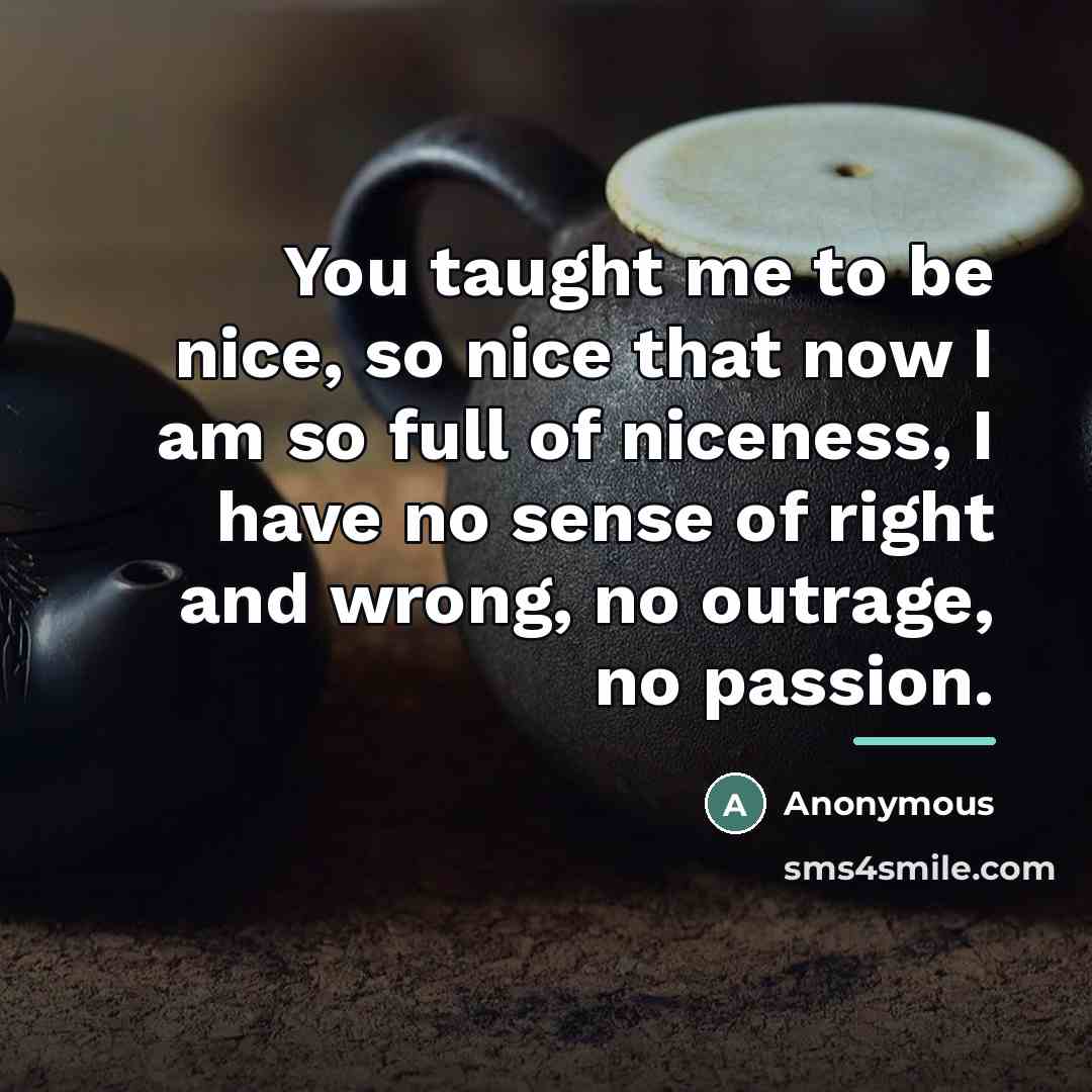 “You taught me to be nice, so nice that now…” quote by Anonymous