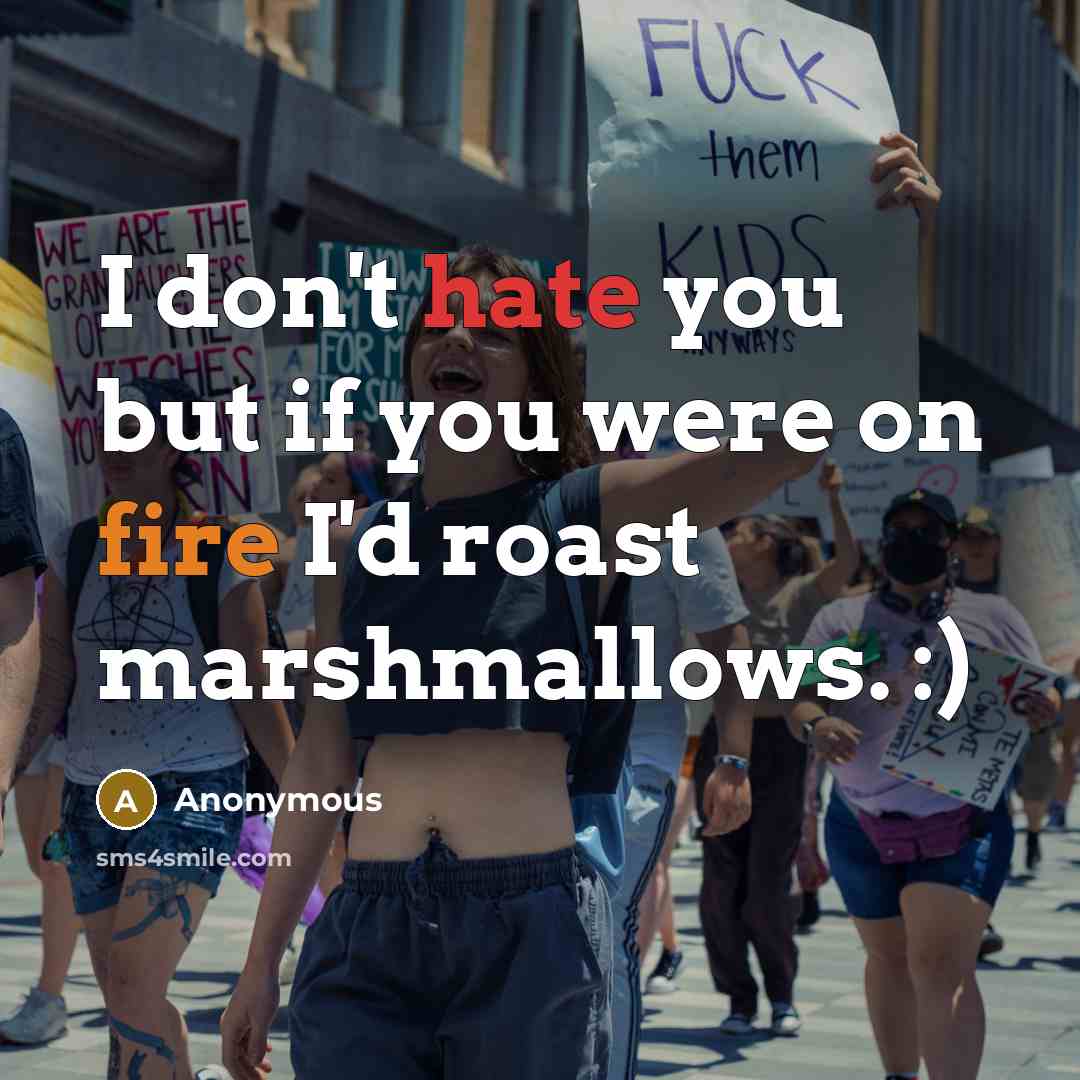 “I don't hate you but if you were on fire I'd roast marshmallows. :)” quote by Anonymous