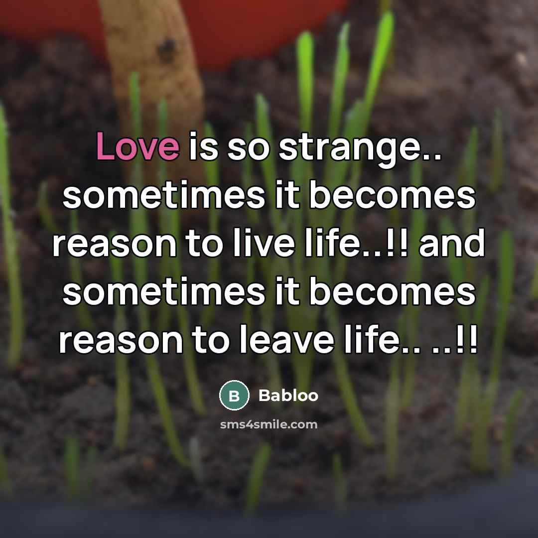“Love is so strange.. sometimes it becomes reason to live…” quote by Babloo