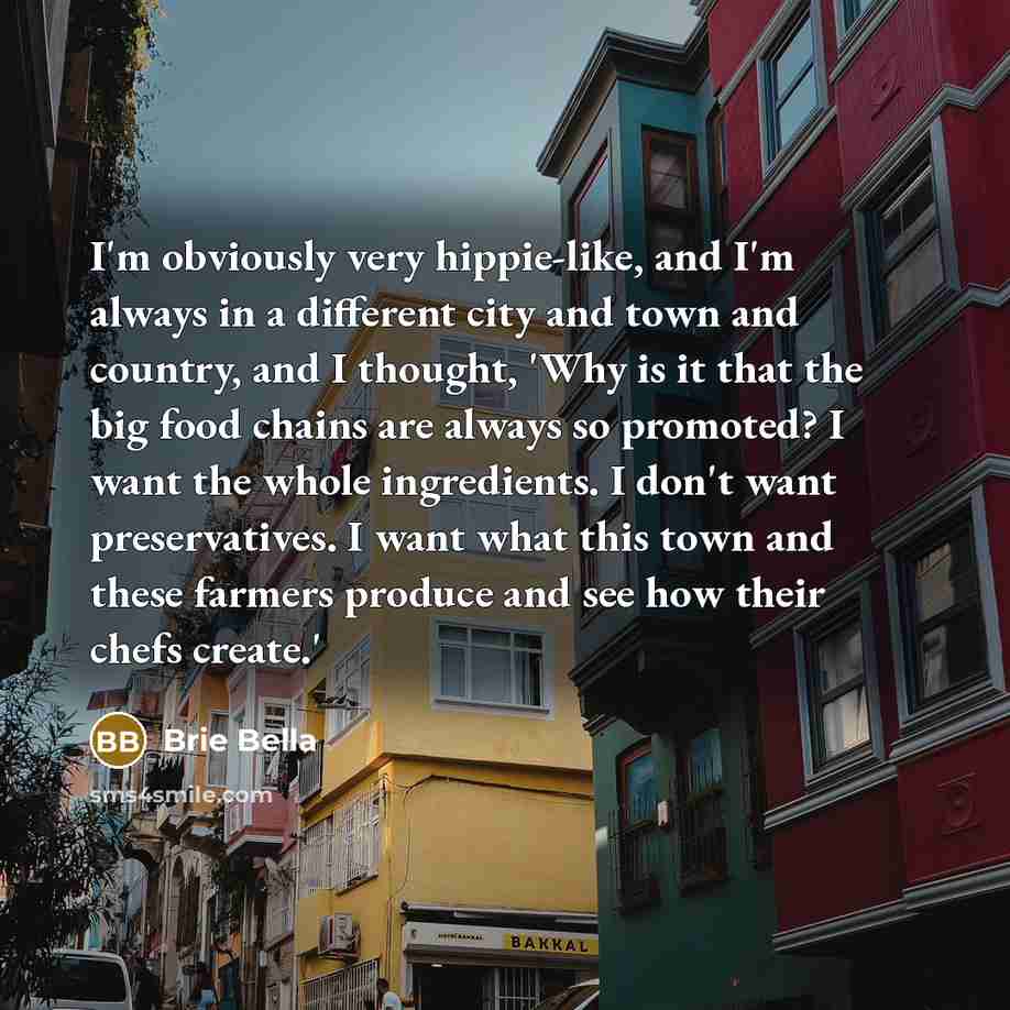 “I'm obviously very hippie-like, and I'm always in a different…” quote by Brie Bella