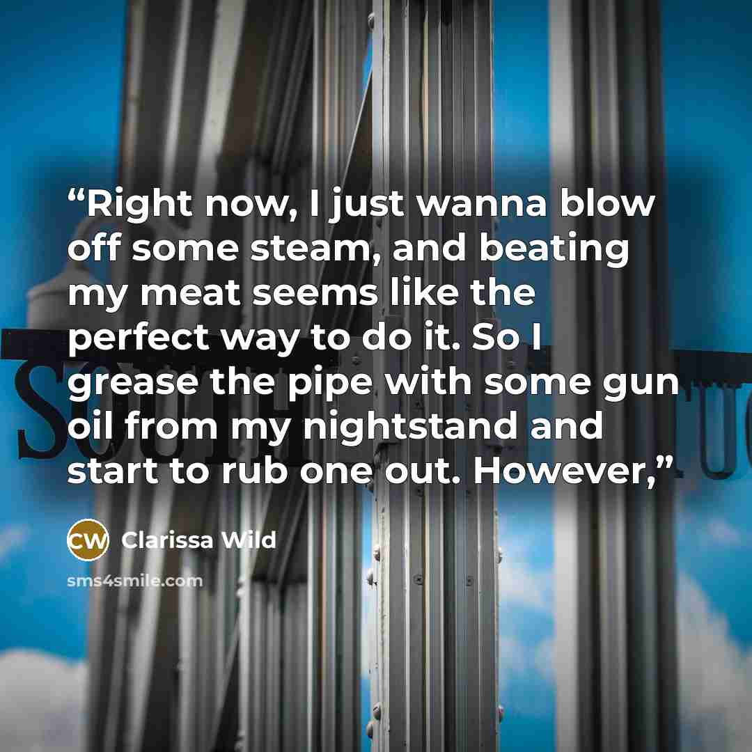 “Right now, I just wanna blow off some steam, and beating my meat seems like the perfect way to do it. So I grease the pipe with some gun oil from my nightstand and start to rub one out. However,” quote by Clarissa Wild
