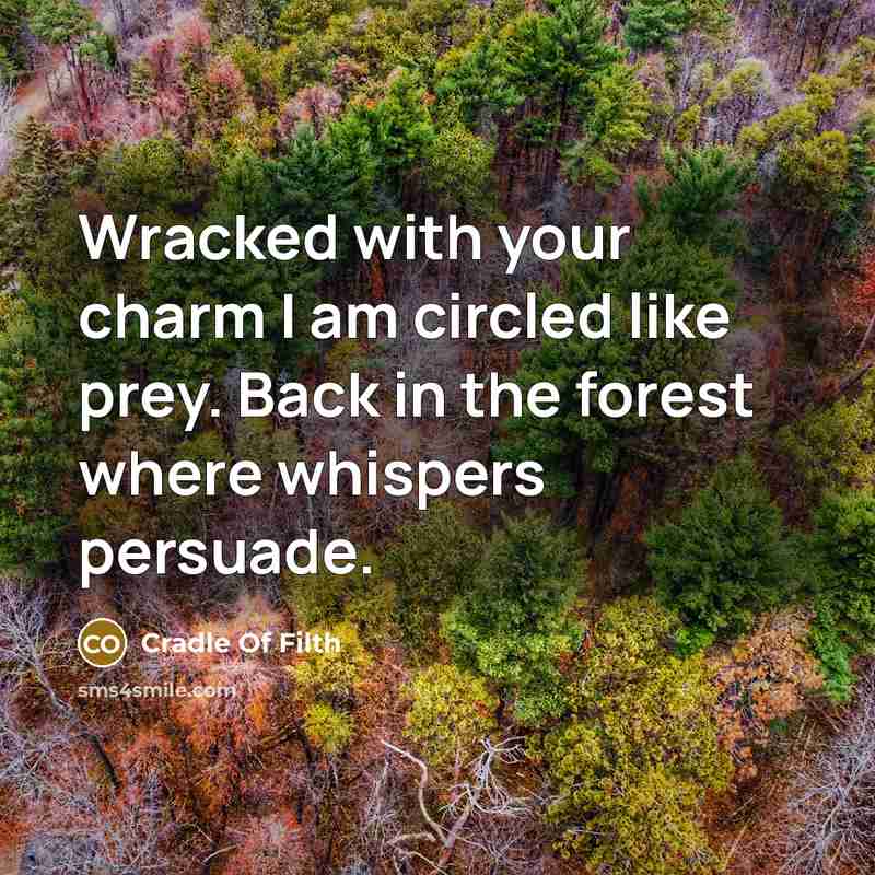 “Wracked with your charm I am circled like prey. Back in the forest where whispers persuade.” quote by Cradle Of Filth
