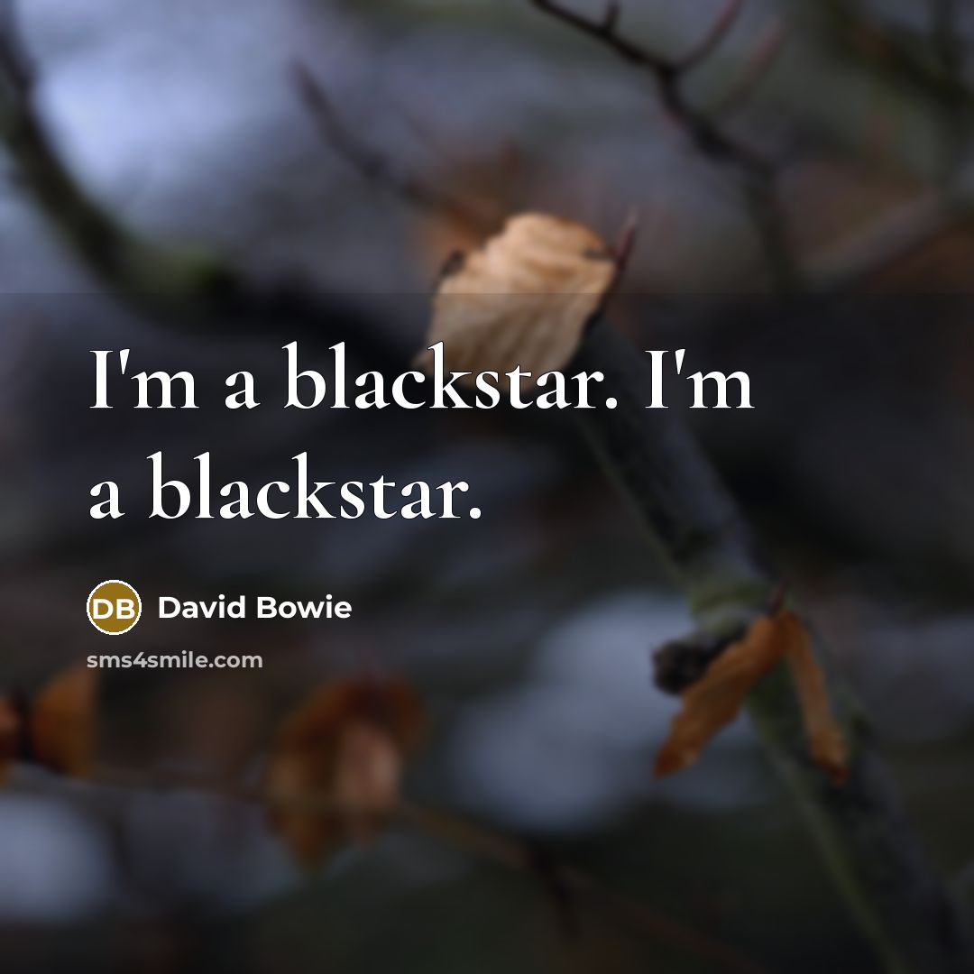 “I'm a blackstar. I'm a blackstar.” quote by David Bowie
