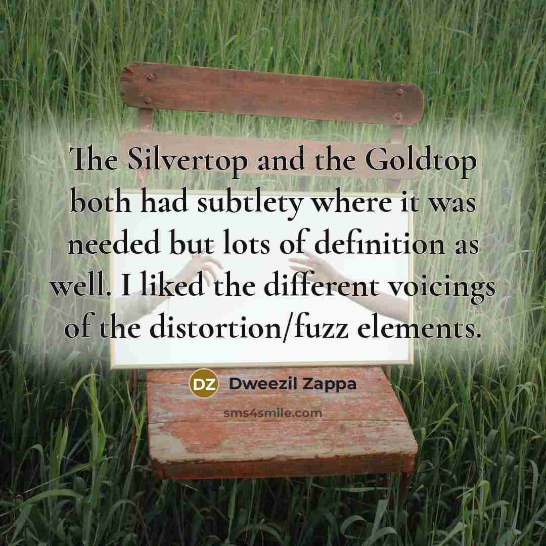 “The Silvertop and the Goldtop both had subtlety where it…” quote by Dweezil Zappa