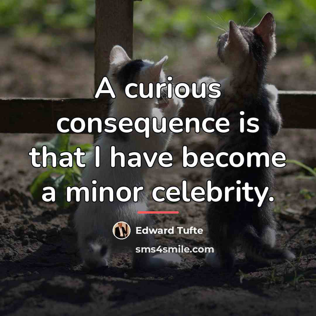 “A curious consequence is that I have become a minor…” quote by Edward Tufte