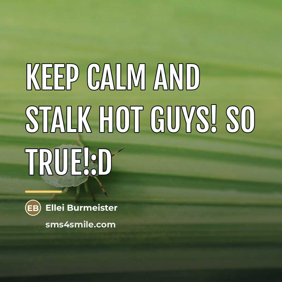 “Keep calm and stalk hot guys! SO TRUE!:D…” quote by Ellei Burmeister