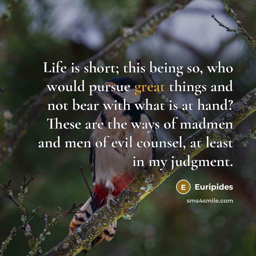 “Life is short; this being so, who would pursue great…” quote by Euripides