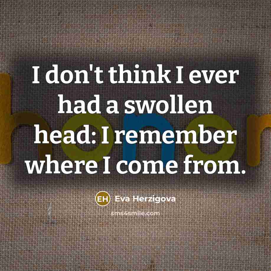 “I don't think I ever had a swollen head: I…” quote by Eva Herzigova