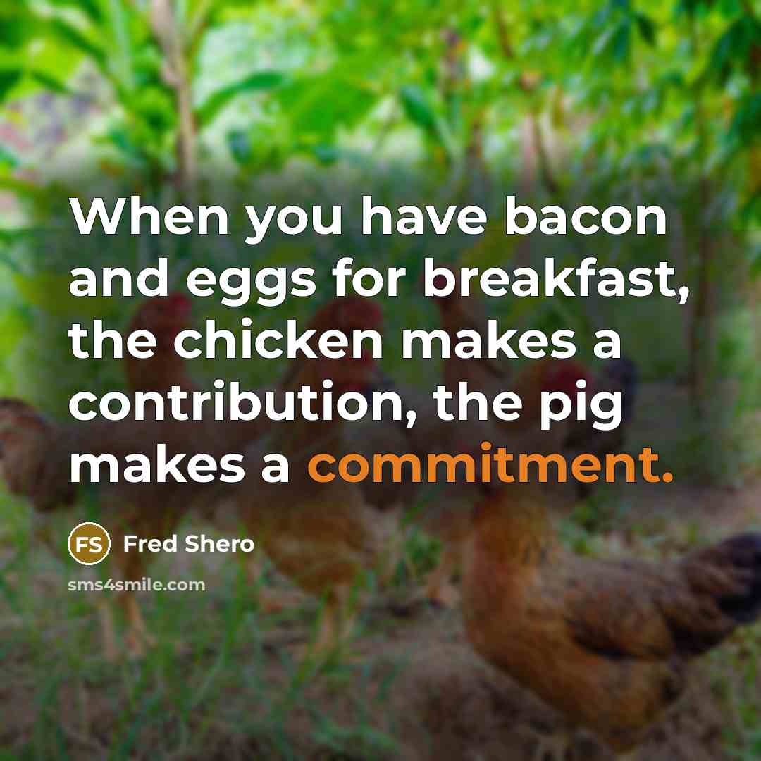 “When you have bacon and eggs for breakfast, the chicken makes a contribution, the pig makes a commitment.” quote by Fred Shero