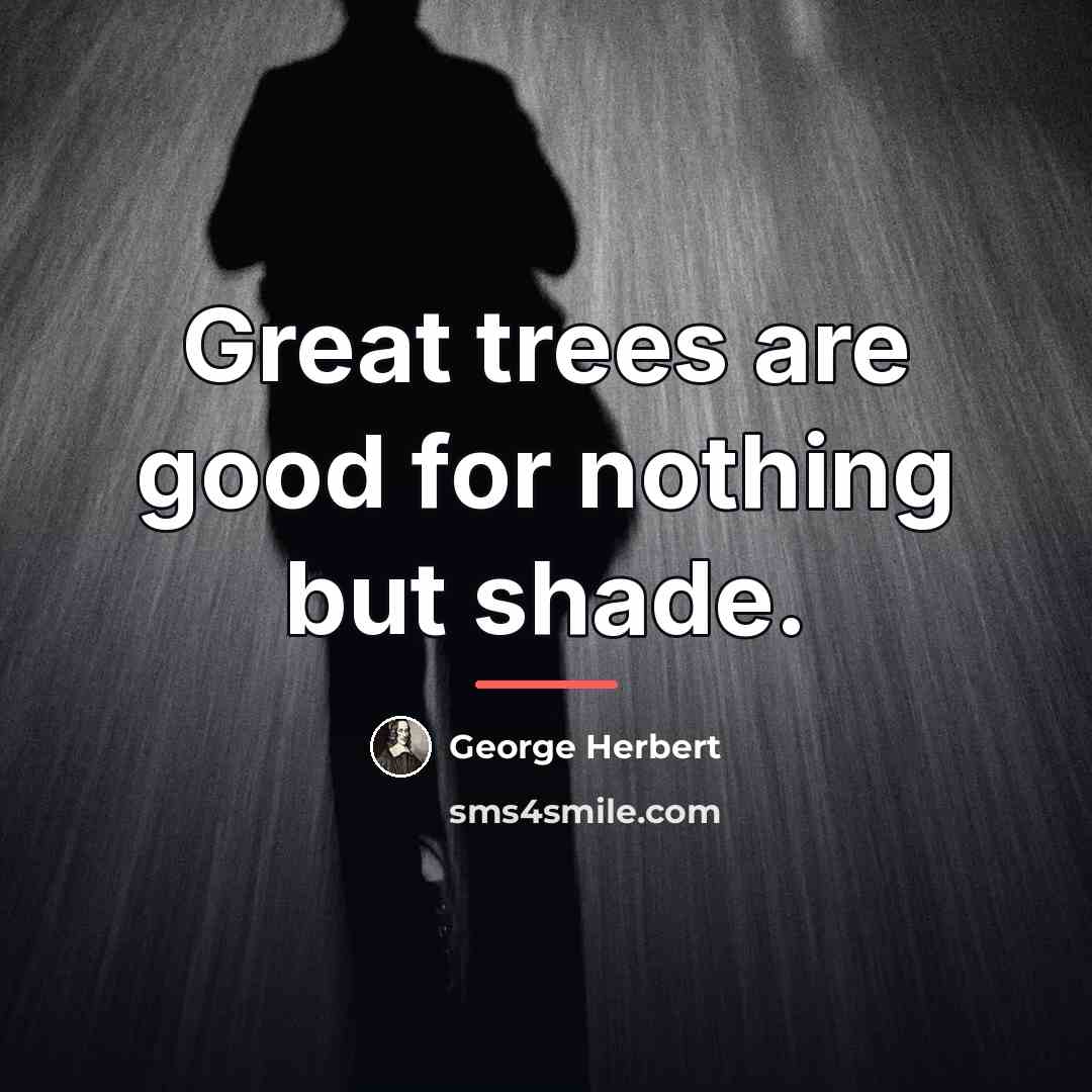 “Great trees are good for nothing but shade.…” quote by George Herbert