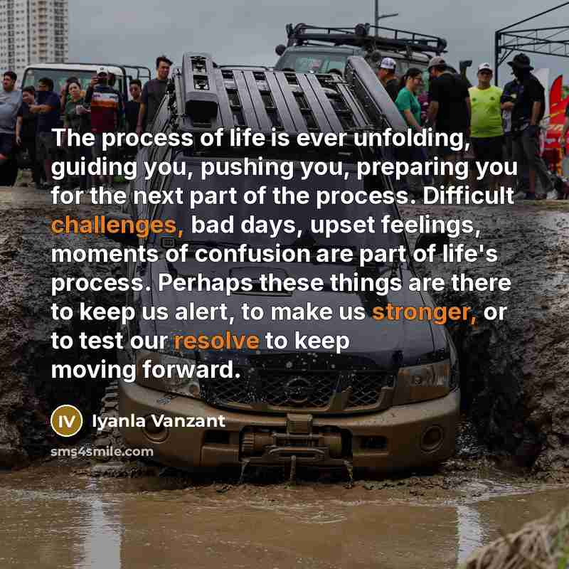 “The process of life is ever unfolding, guiding you, pushing…” quote by Iyanla Vanzant