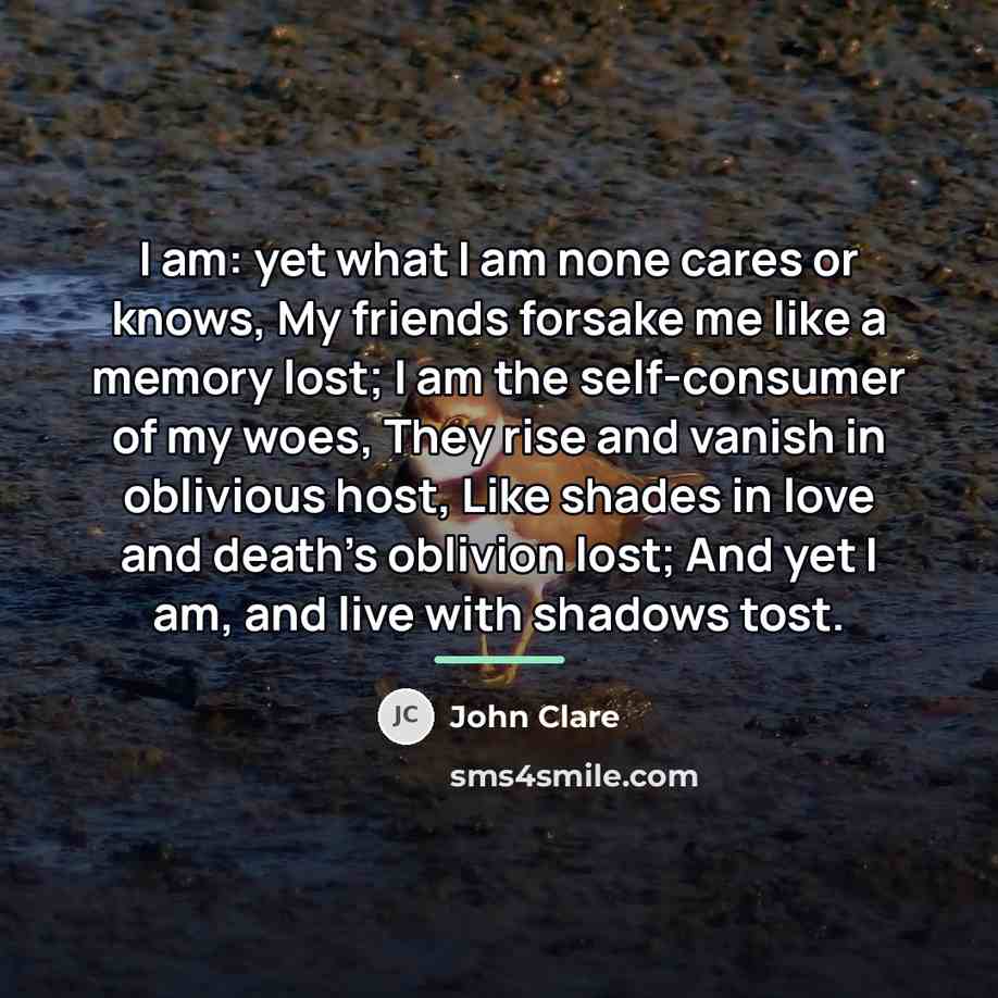 “I am: yet what I am none cares or knows,…” quote by John Clare