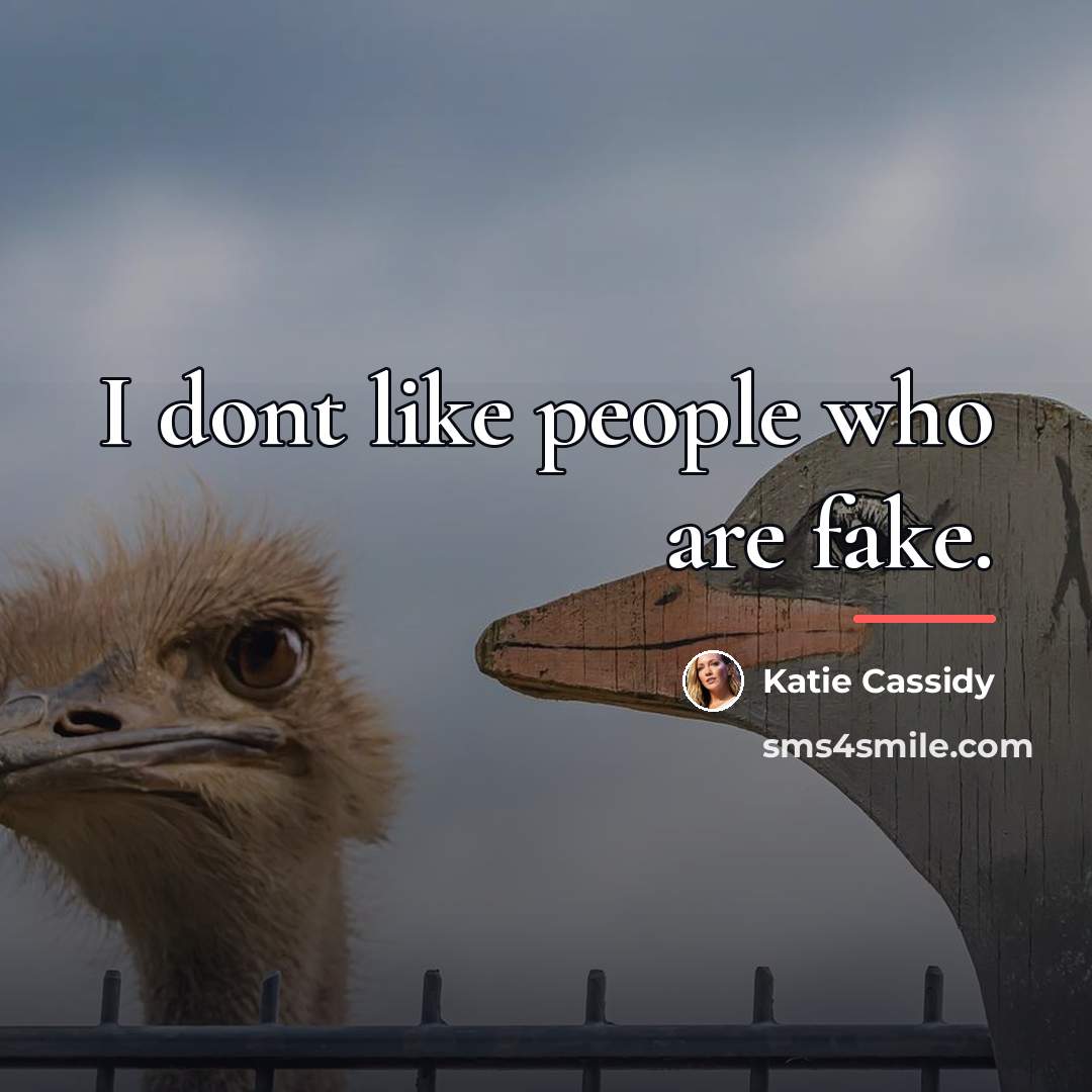 “I dont like people who are fake.…” quote by Katie Cassidy