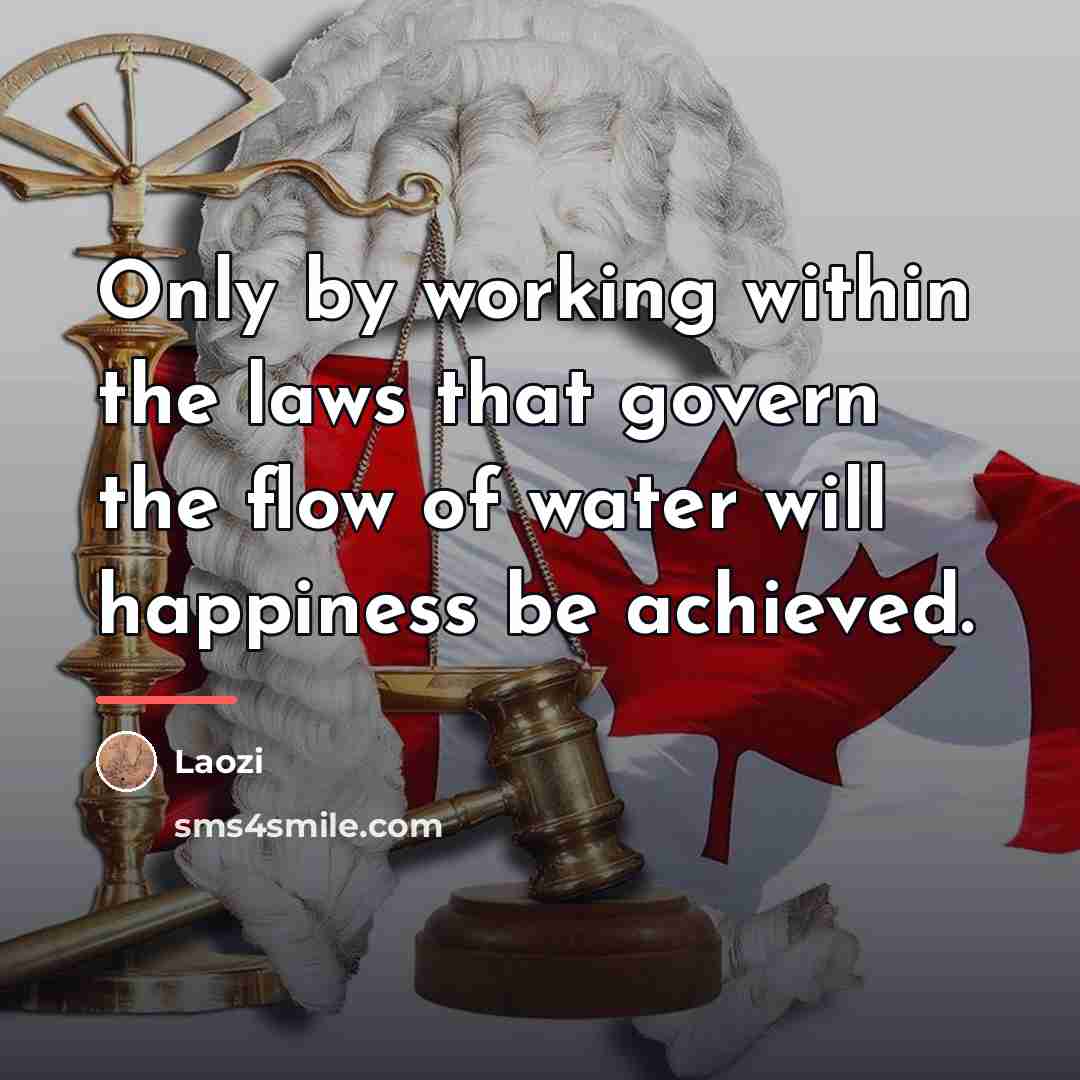 “Only by working within the laws that govern the flow…” quote by Laozi