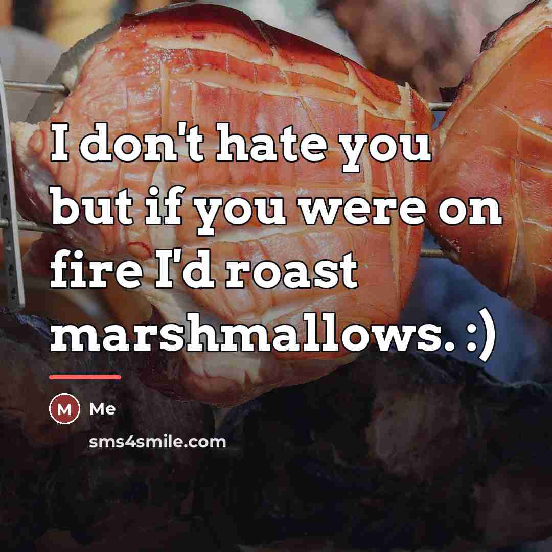 “I don't hate you but if you were on fire…” quote by Me
