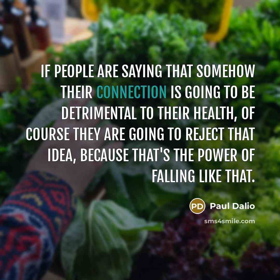 “If people are saying that somehow their connection is going…” quote by Paul Dalio