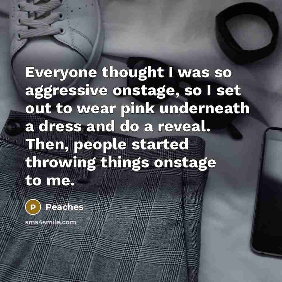 “Everyone thought I was so aggressive onstage, so I set…” quote by Peaches