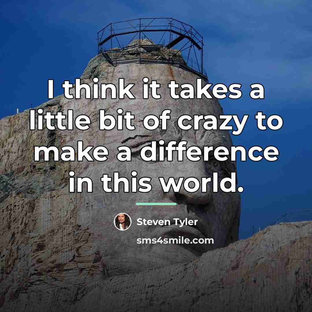 “I think it takes a little bit of crazy to…” quote by Steven Tyler