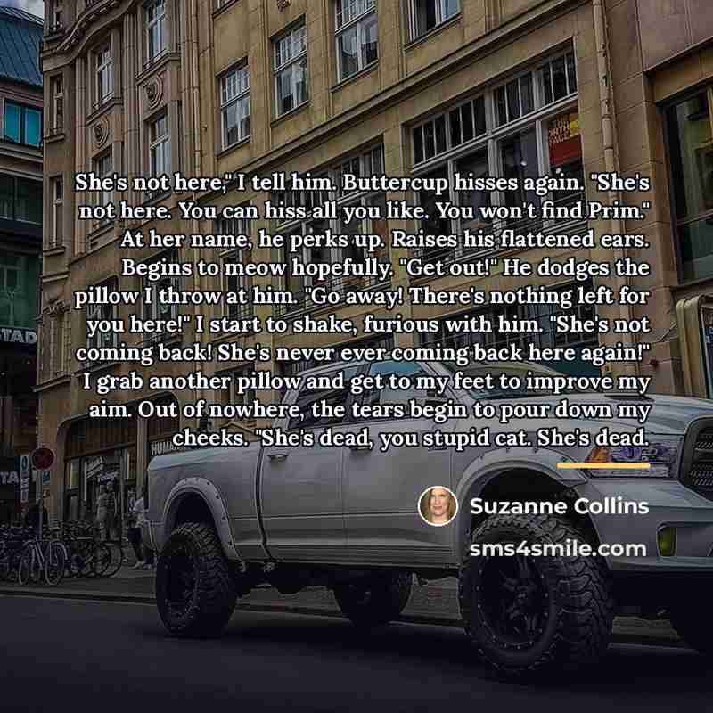“She's not here," I tell him. Buttercup hisses again. "She's…” quote by Suzanne Collins