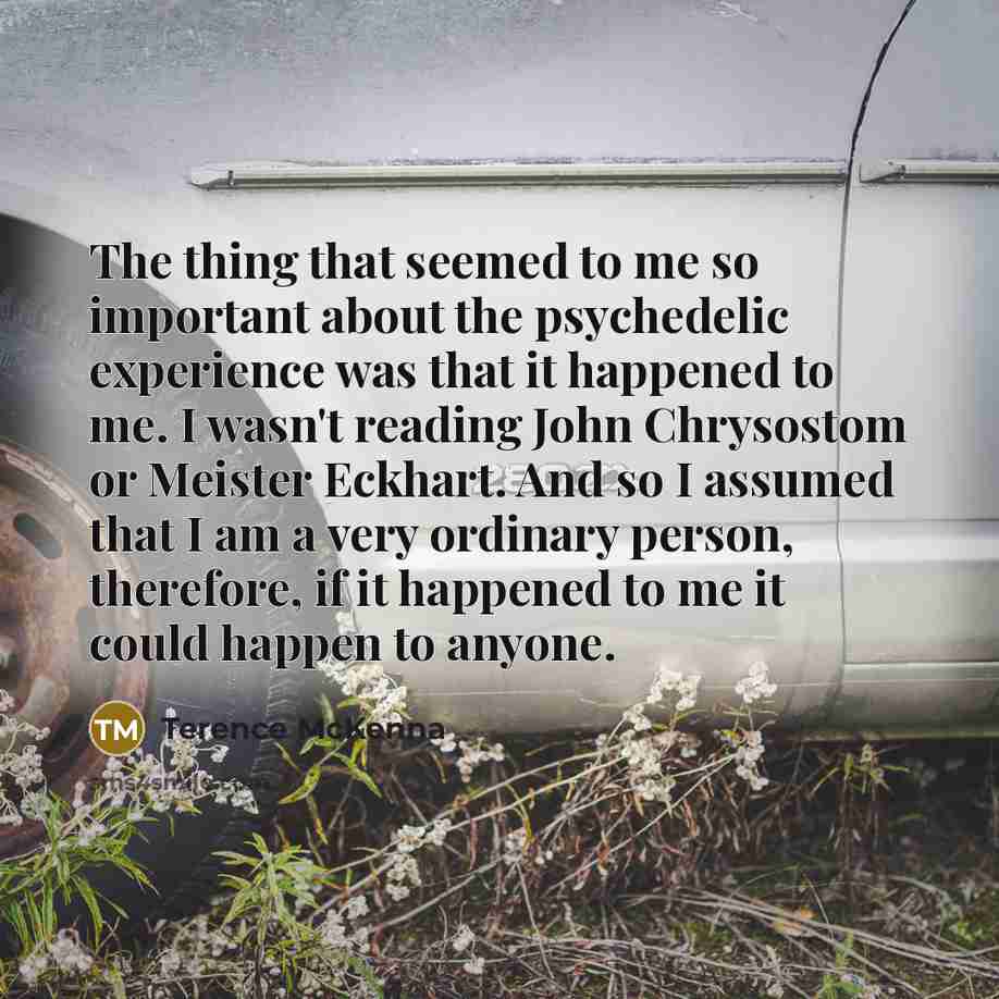 “The thing that seemed to me so important about the…” quote by Terence McKenna