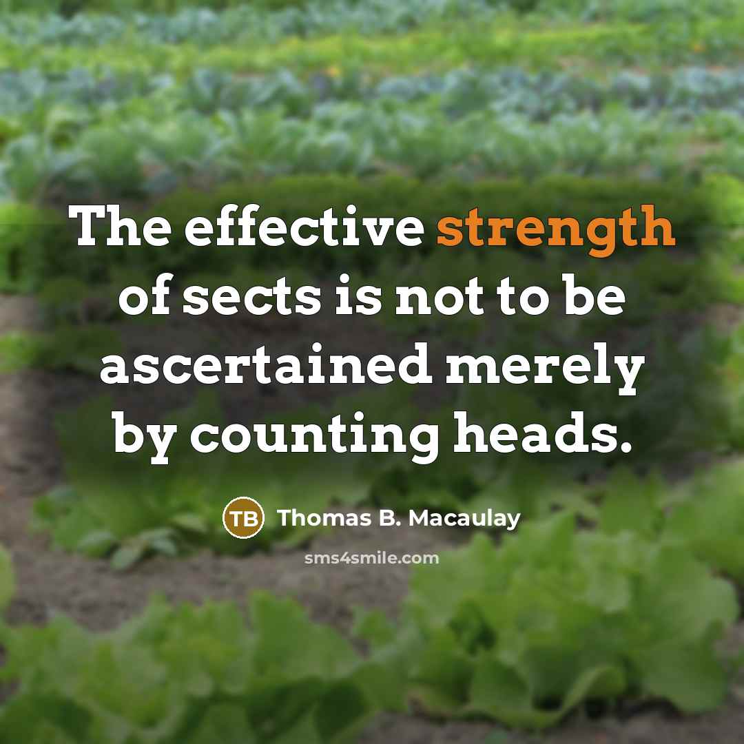 “The effective strength of sects is not to be ascertained…” quote by Thomas B. Macaulay