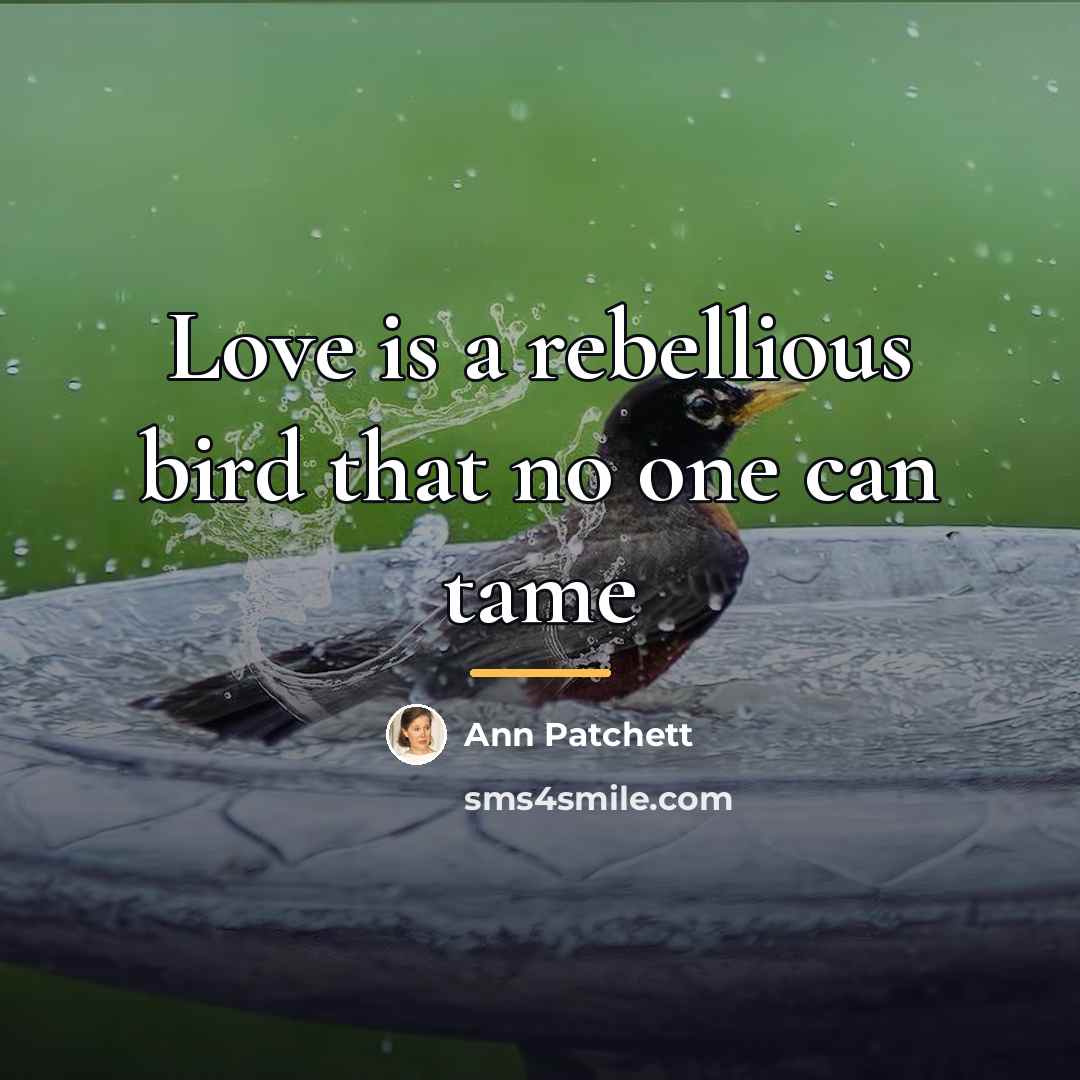 “Love is a rebellious bird that no one can tame…” quote by Ann Patchett