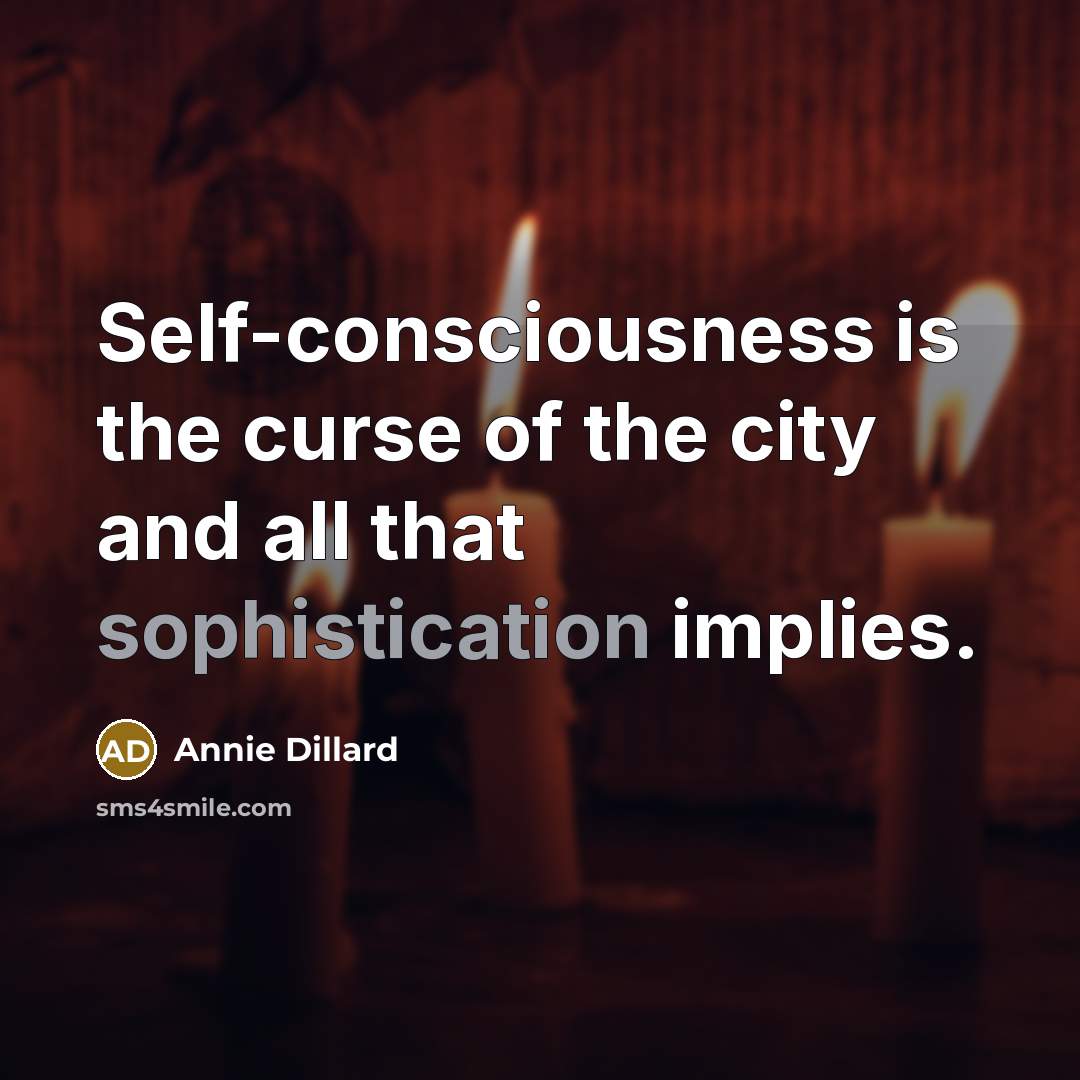 “Self-consciousness is the curse of the city and all that…” quote by Annie Dillard