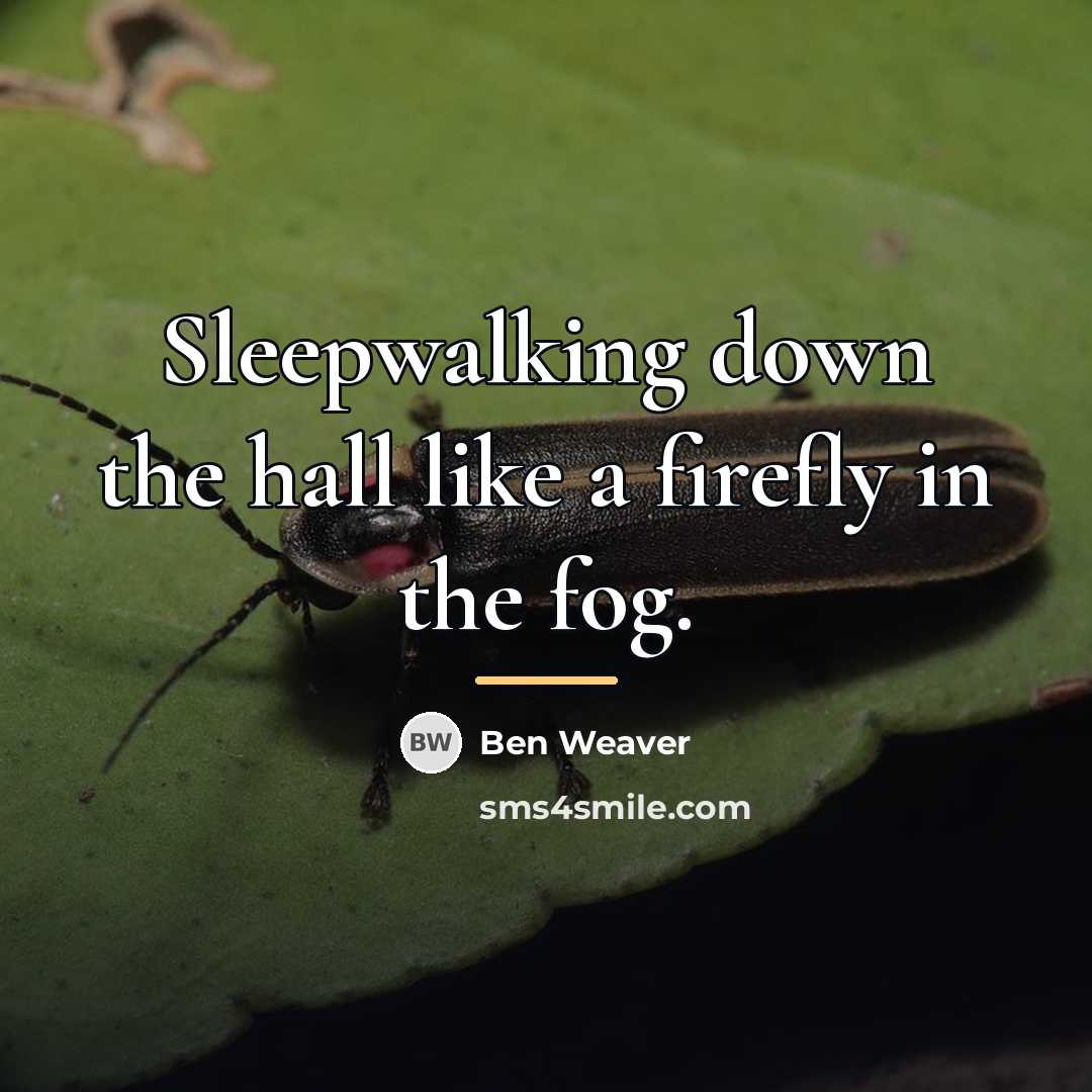 “Sleepwalking down the hall like a firefly in the fog.…” quote by Ben Weaver
