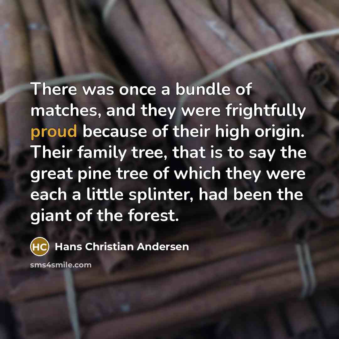 “There was once a bundle of matches, and they were…” quote by Hans Christian Andersen