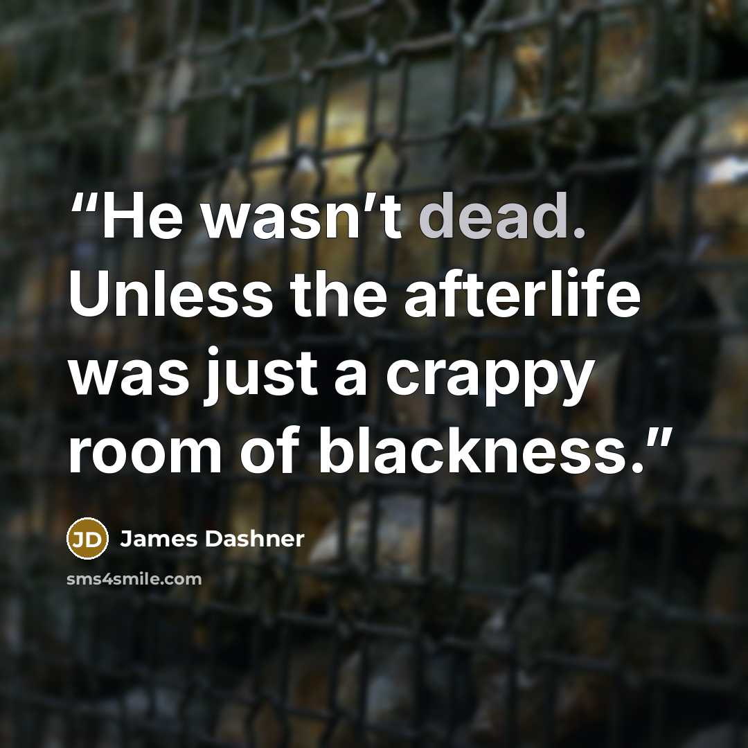 “He wasn’t dead. Unless the afterlife was just a crappy room of blackness.” quote by James Dashner