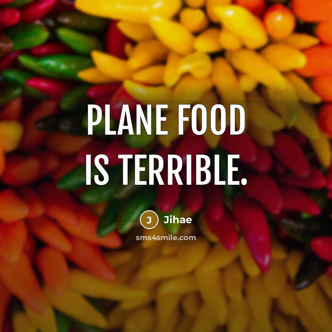 “Plane food is terrible.…” quote by Jihae