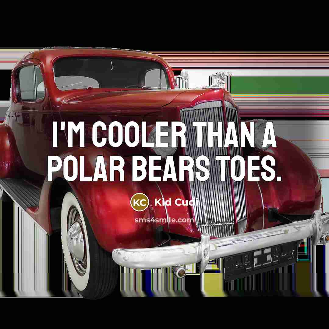 “I'm cooler than a polar bears toes.” quote by Kid Cudi