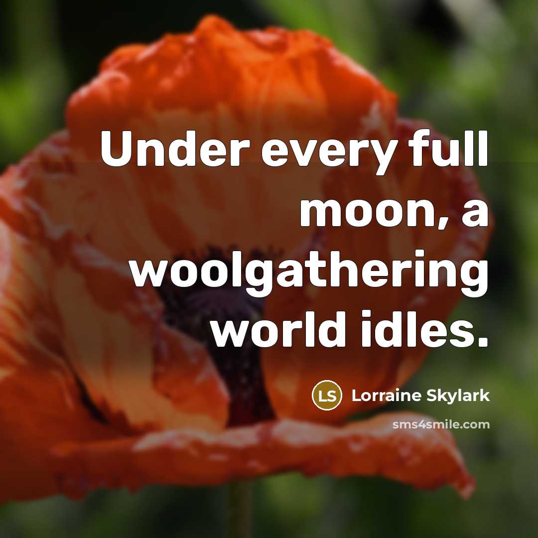 “Under every full moon, a woolgathering world idles.” quote by Lorraine Skylark