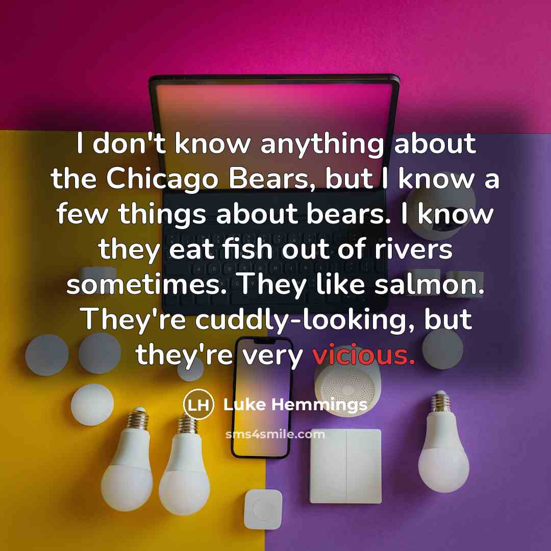 “I don't know anything about the Chicago Bears, but I…” quote by Luke Hemmings