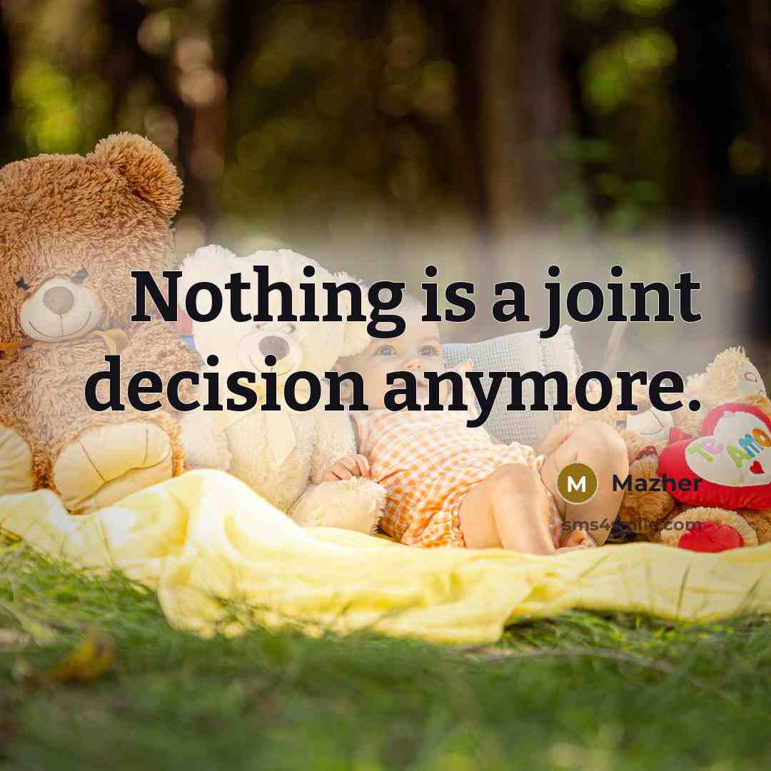 “Nothing is a joint decision anymore.…” quote by Mazher