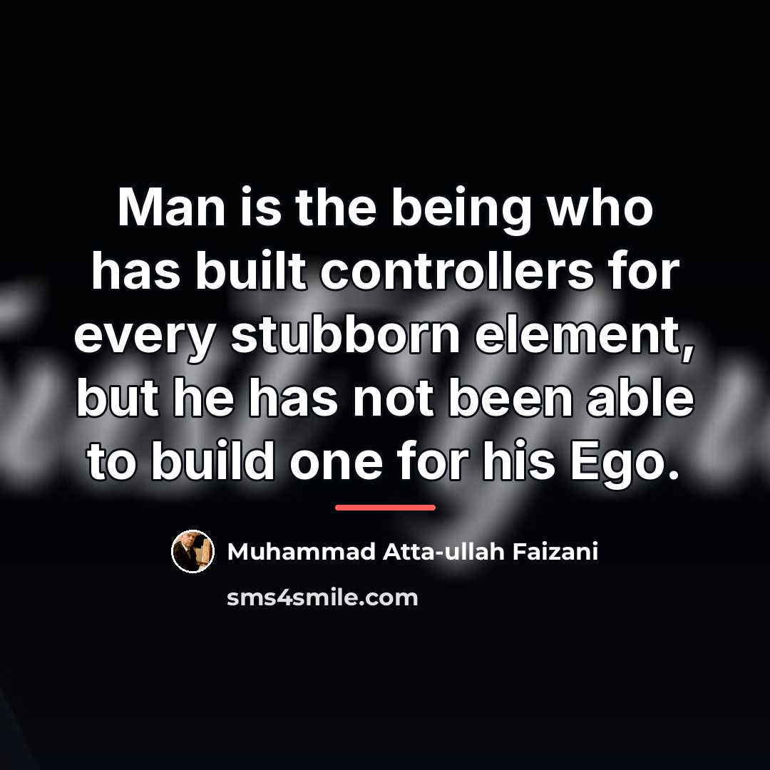 “Man is the being who has built controllers for every…” quote by Muhammad Atta-ullah Faizani