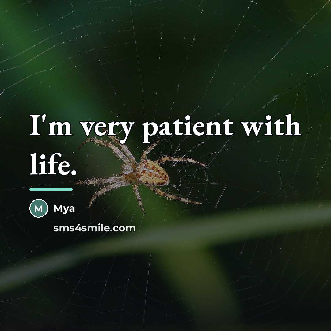 “I'm very patient with life.…” quote by Mya