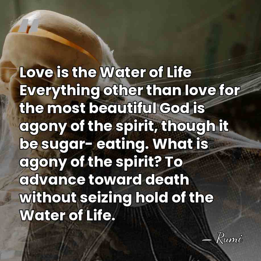 Love is the Water of Life Everything other than love for the&hellip; - Rumi